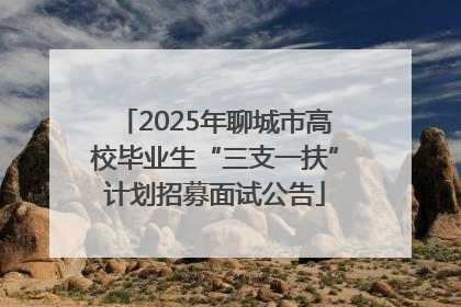 2025年聊城市高校毕业生“三支一扶”计划招募面试公告