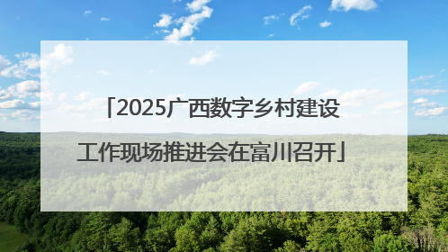 2025广西数字乡村建设工作现场推进会在富川召开