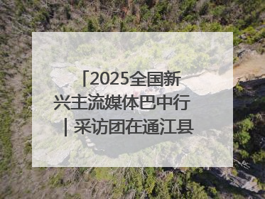 2025全国新兴主流媒体巴中行｜采访团在通江县瞻仰全国最大红军烈士陵园
