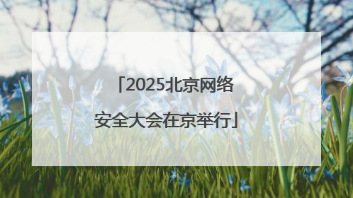 2025北京网络安全大会在京举行