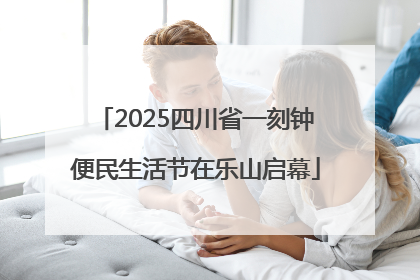 2025四川省一刻钟便民生活节在乐山启幕