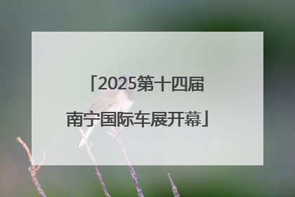 2025第十四届南宁国际车展开幕