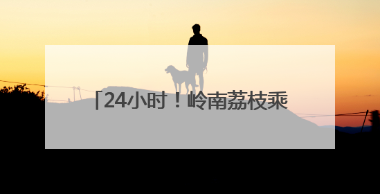 24小时！岭南荔枝乘专线 枝头直飞新加坡