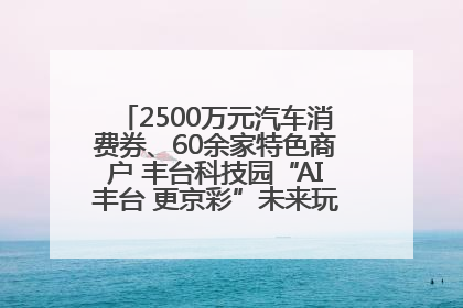 2500万元汽车消费券、60余家特色商户 丰台科技园“AI丰台 更京彩”未来玩家市集活动正式开幕