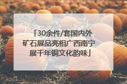 30余件/套国内外矿石展品亮相广西南宁 展千年铜文化韵味