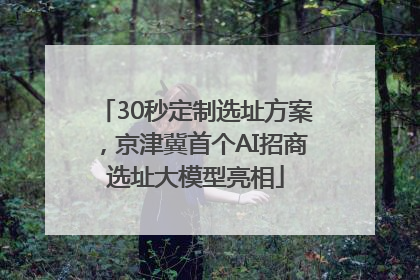 30秒定制选址方案，京津冀首个AI招商选址大模型亮相