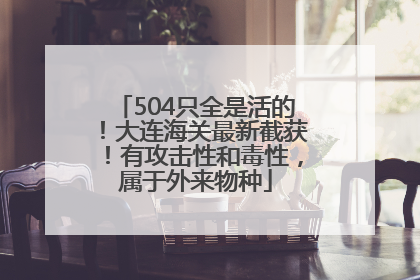504只全是活的！大连海关最新截获！有攻击性和毒性，属于外来物种