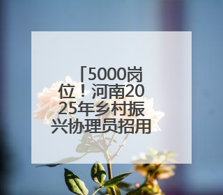 5000岗位！河南2025年乡村振兴协理员招用计划发布