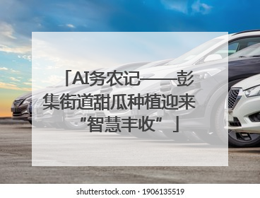 AI务农记——彭集街道甜瓜种植迎来“智慧丰收”