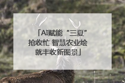 AI赋能“三夏”抢收忙 智慧农业绘就丰收新图景