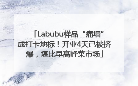 Labubu样品“痛墙”成打卡地标！开业4天已被挤爆，堪比早高峰菜市场
