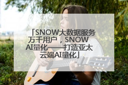 SNOW大数据服务万千用户，SNOW AI量化——打造亚太云端AI量化