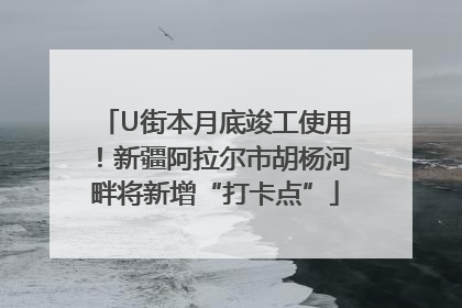 U街本月底竣工使用！新疆阿拉尔市胡杨河畔将新增“打卡点”